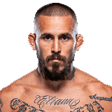 Стивен Томпсон және Тайрон Вудли аралас жекпе-жек өнері әлемінен